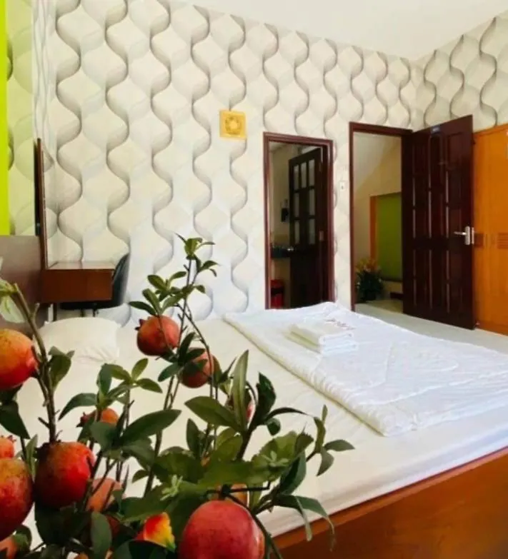 Hotel Hai Ha Vung Tau